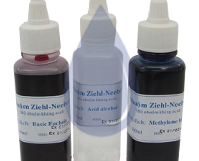Thư chào giá Bộ nhuộm Ziehl Neelsen