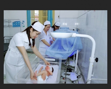 Yêu cầu báo giá đèn chiếu vàng da