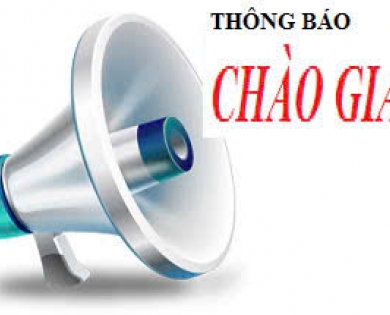 Thư chào giá